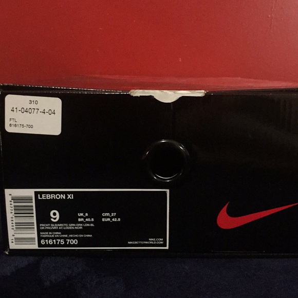 Men’s Nike Lebron 11 “Kings Pride” - Picture 5 of 5